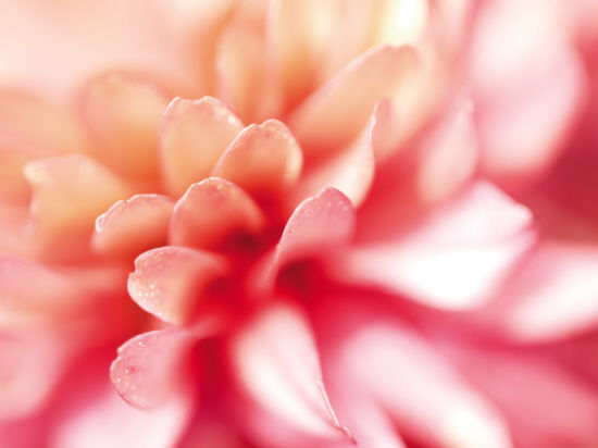 3C6EBD45C8A67B665BC79442A4727EF7