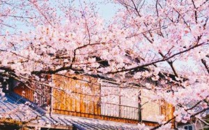 日語(yǔ)翻譯,翻譯公司,上海翻譯公司