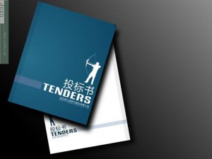 標(biāo)書翻譯,成都翻譯公司