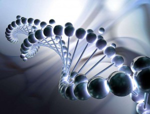 醫(yī)學(xué)翻譯,生命醫(yī)學(xué)翻譯