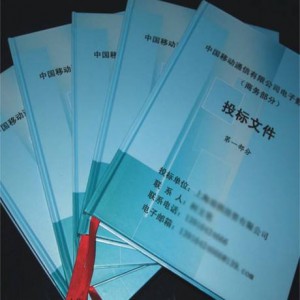 投標(biāo)文件翻譯,上海翻譯公司